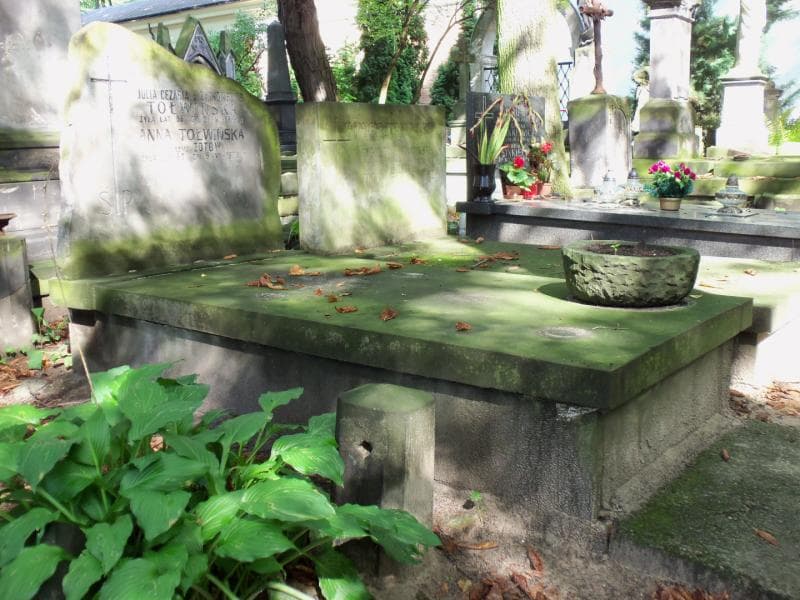 Zdjęcie grobu Anna Tołwińska (1)