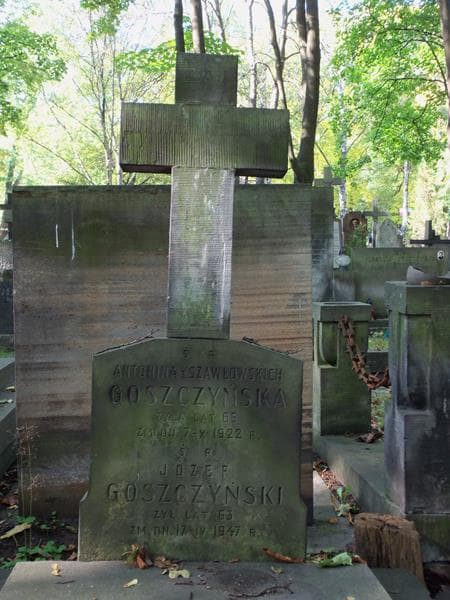 Zdjęcie grobu Józef Goszczyński (2)