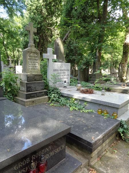 Zdjęcie grobu: Janina Żmudzińska