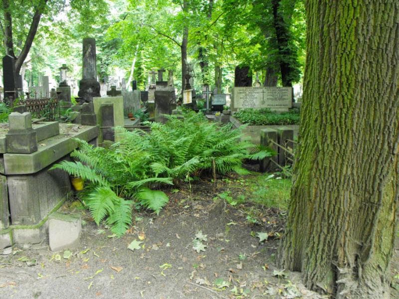 Zdjęcie grobu: Chądzyńscy