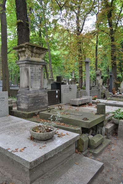 Zdjęcie grobu: Teodozja Hiller