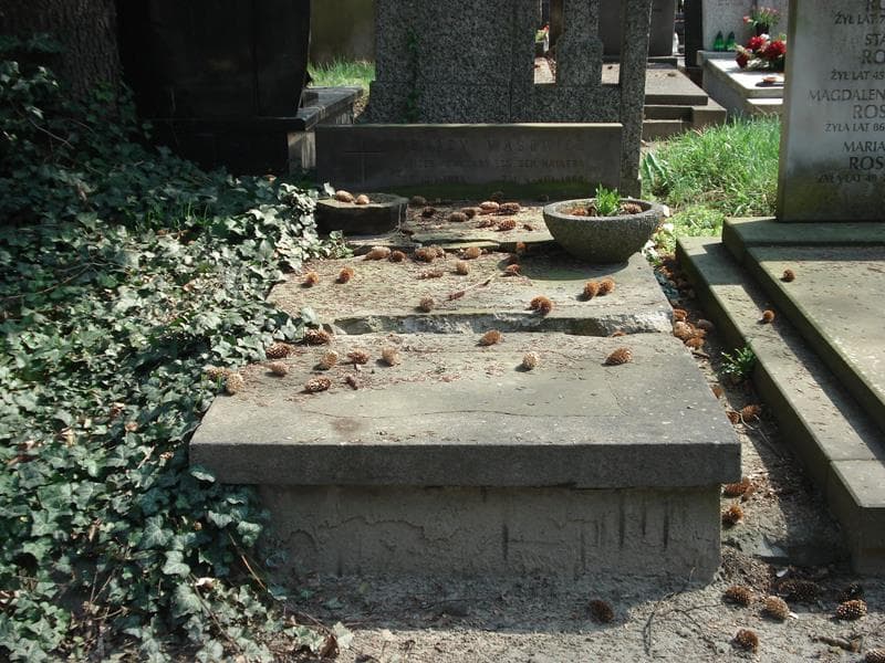Zdjęcie grobu: Aleksandra Wasowicz