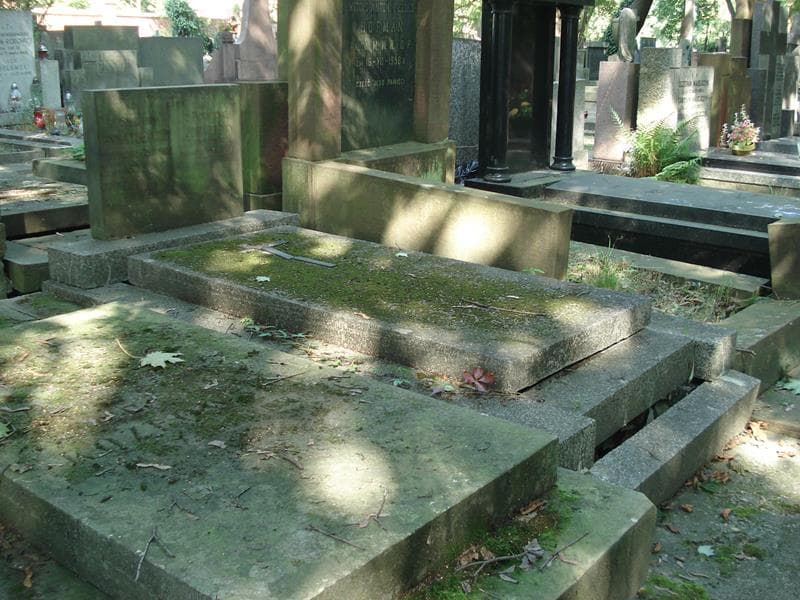 Zdjęcie grobu: Władysław Terenkoczy
