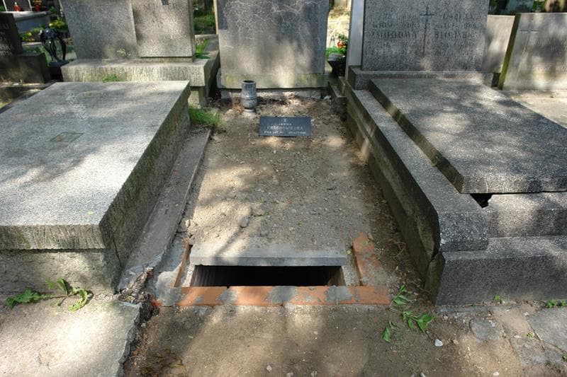 Zdjęcie grobu: Wilhelmina Dawidowicz