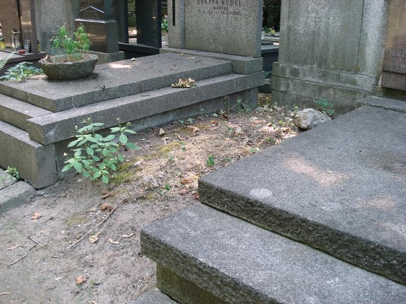 Zdjęcie grobu: Pole Grobowe