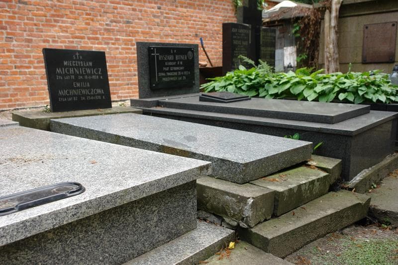 Zdjęcie grobu Mieczysław Michniewicz (1)
