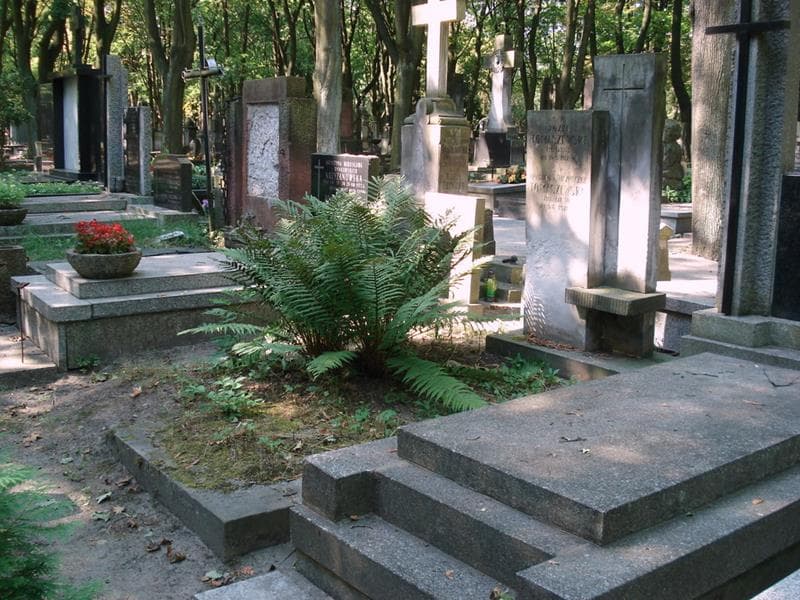 Zdjęcie grobu: Bronisława Tomaszewska