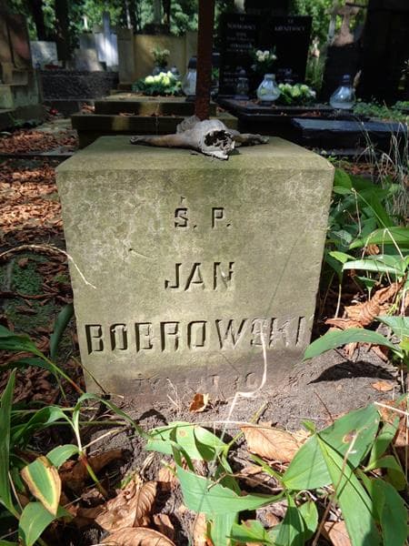 Zdjęcie grobu Jan Bobrowski (2)