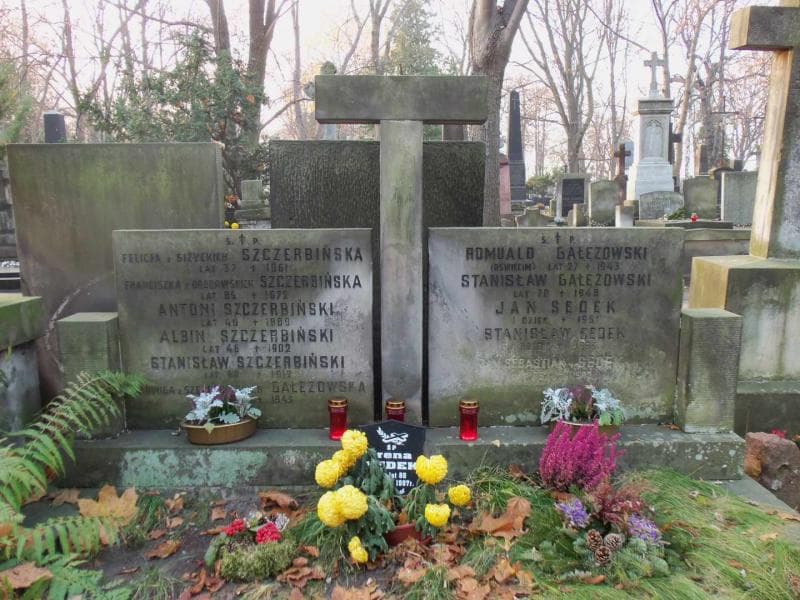 Zdjęcie grobu Jan Sędek (2)