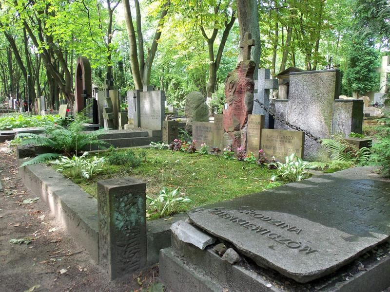 Zdjęcie grobu Romuald Trzeciecki (1)