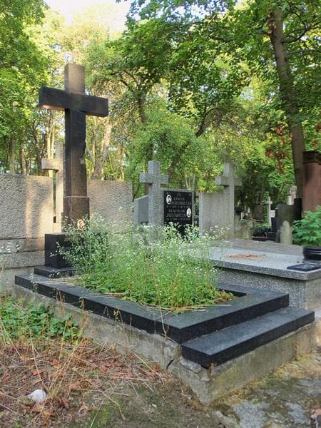 Zdjęcie grobu Stanisław Peszyński (1)