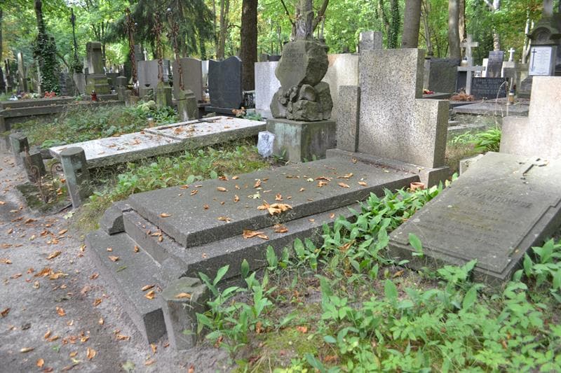 Zdjęcie grobu: Stasia Włodarczyk
