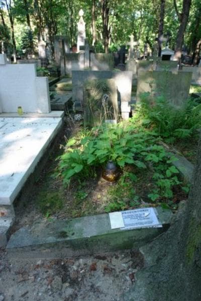 Zdjęcie grobu: Januszek Polkowski