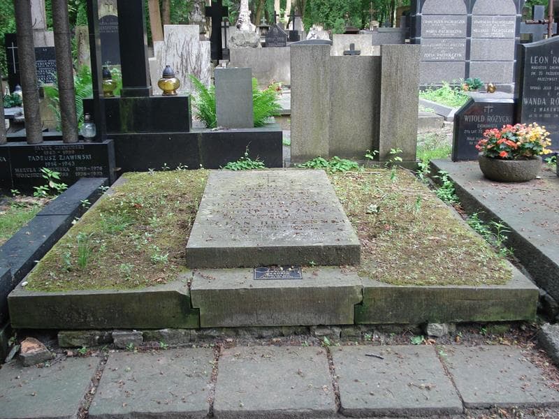 Zdjęcie grobu: Stefan Buczyński