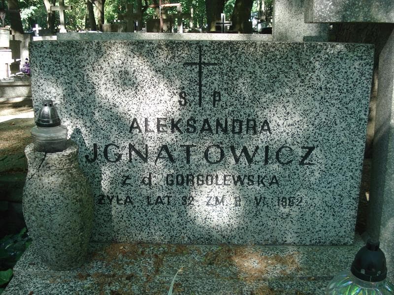 Zdjęcie grobu Aleksander Ignatowicz (1)