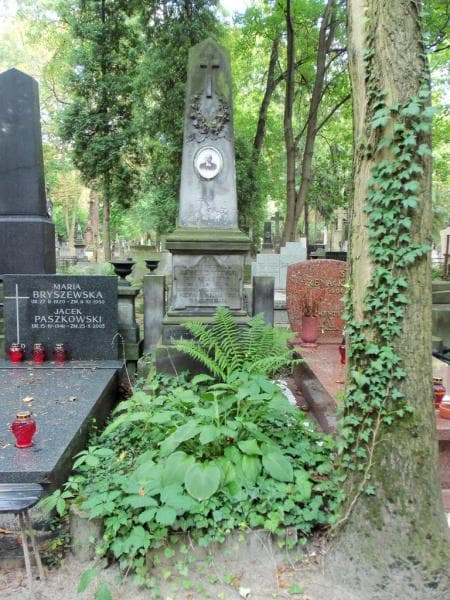 Zdjęcie grobu: Władysław Jastrzębiec Wodziński