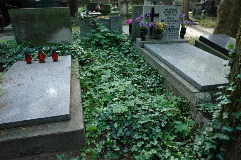 Zdjęcie grobu: Pole Grobowe