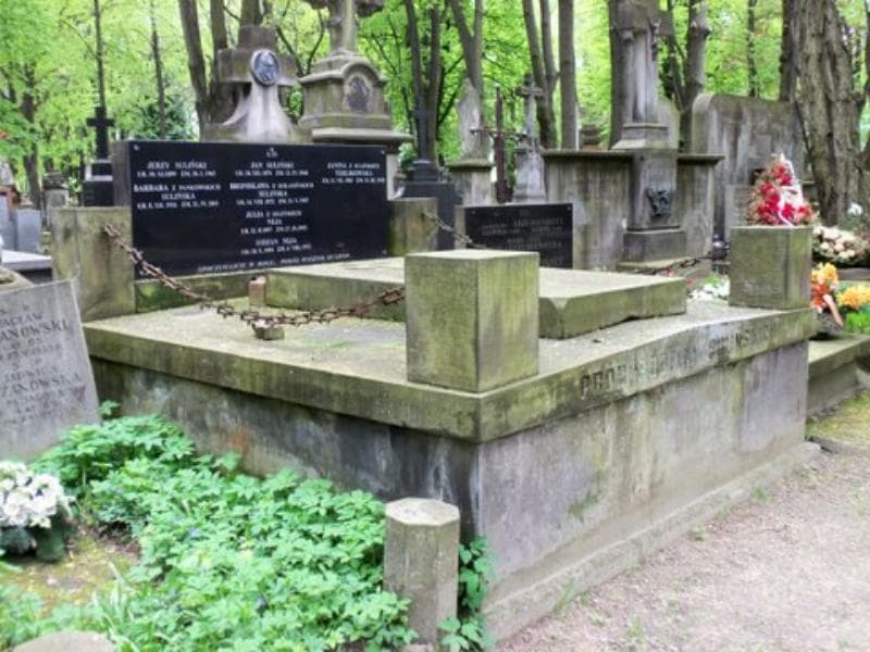 Zdjęcie grobu Janina Terlikowska (1)