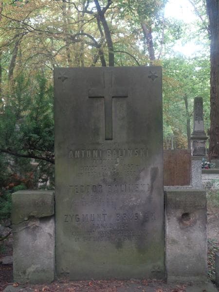 Zdjęcie grobu Teodor Baliński (2)