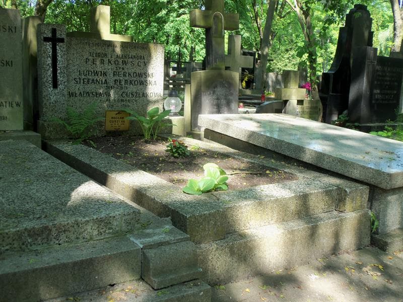 Zdjęcie grobu Ludwik Perkowski (1)