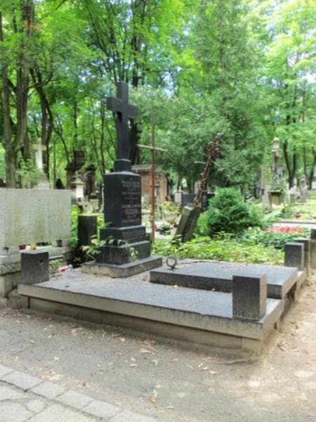 Zdjęcie grobu Teodor Gulcz (1)