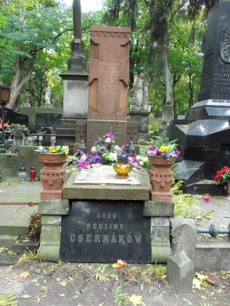 Zdjęcie grobu Julja Csernak (2)