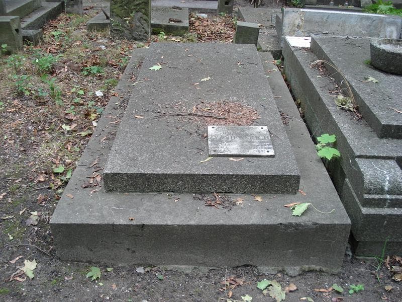 Zdjęcie grobu Jan Żyżniewski (1)