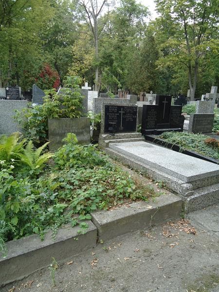 Zdjęcie grobu Barbara Tomaszewska (1)