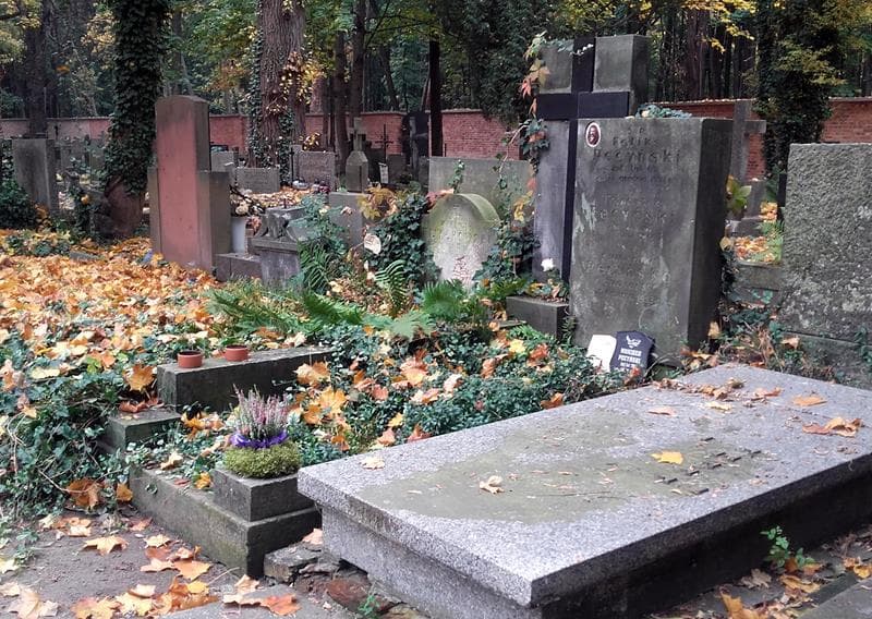 Zdjęcie grobu: Danuta Pecyńska