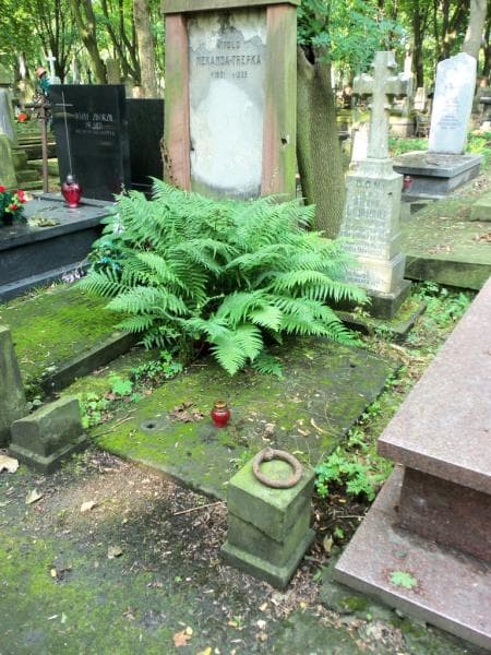 Zdjęcie grobu Alfons Lubiński (1)
