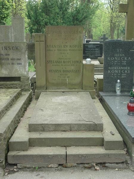 Zdjęcie grobu: Henryk Domański