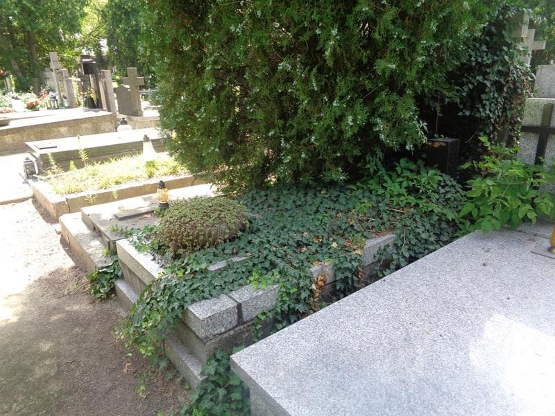 Zdjęcie grobu: Maurycy Bornsztajn