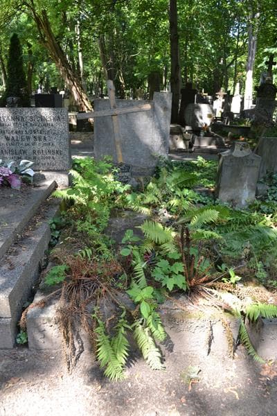Zdjęcie grobu Danuta Uniejewska (1)