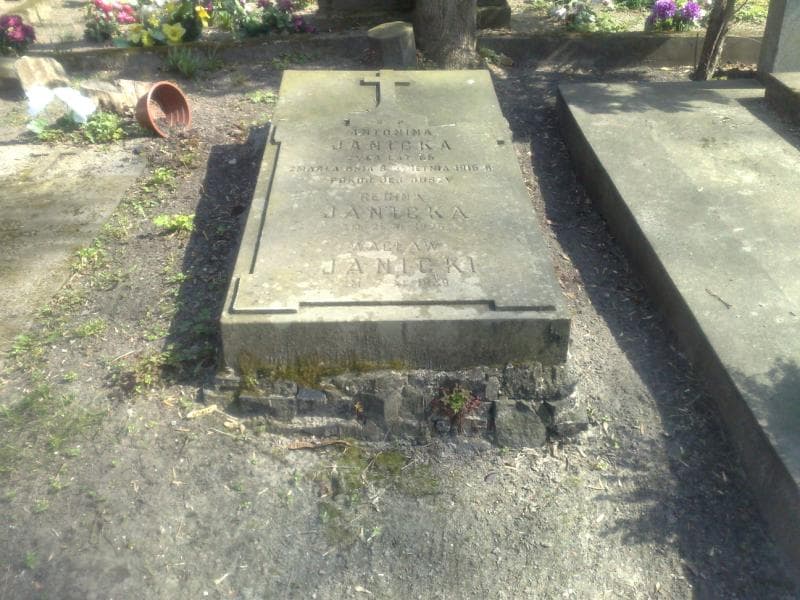 Zdjęcie grobu: Antonina Janicka