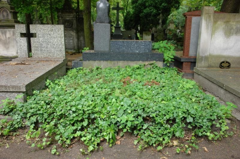 Zdjęcie grobu: Anonim