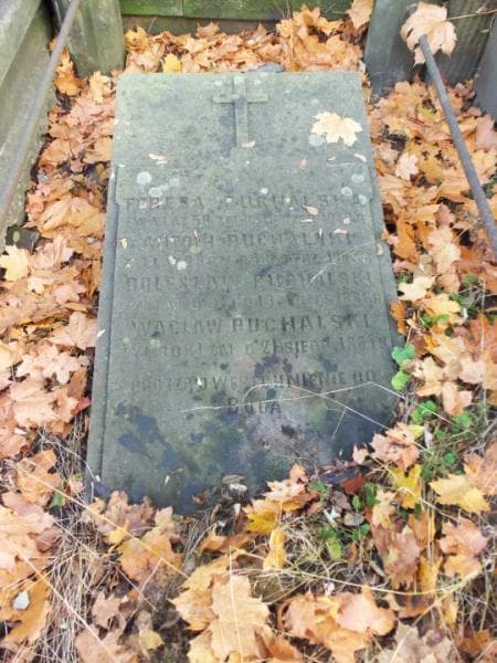 Zdjęcie grobu Wacław Puchalski (2)