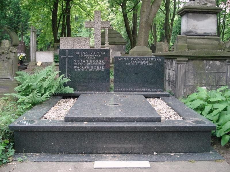 Zdjęcie grobu Stefan Gorski (1)