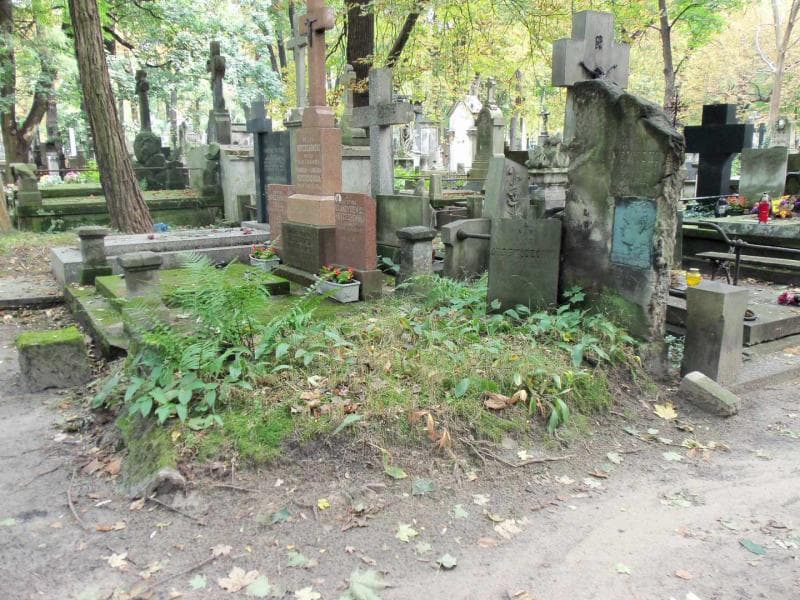Zdjęcie grobu Mieczysław Nowicki (1)