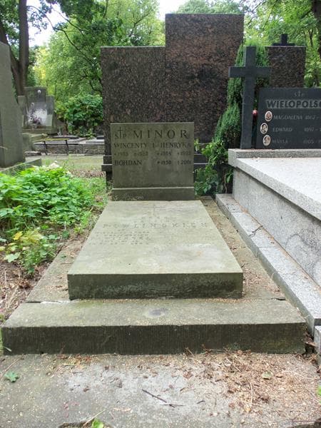 Zdjęcie grobu: Wacław Pawliński