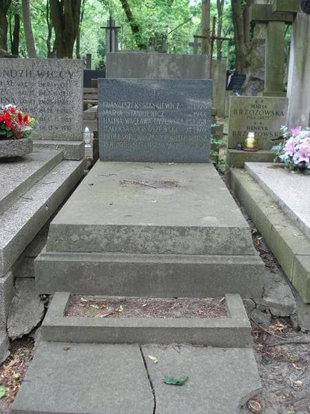 Zdjęcie grobu: Aleksander Dyżewski