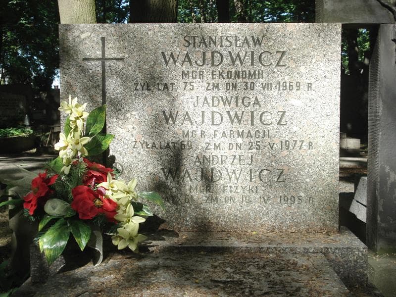 Zdjęcie grobu Stanisław Wajdwicz (1)