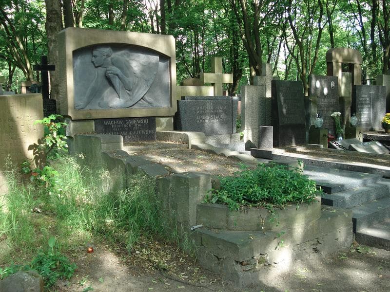 Zdjęcie grobu Wanda Błeszyńska (1)