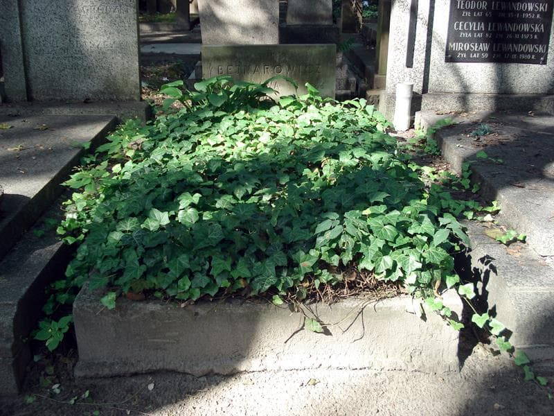 Zdjęcie grobu Stanisława Bejnarowicz (1)