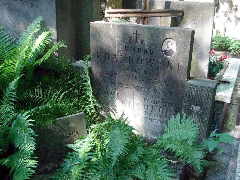 Zdjęcie grobu Józef Janicki (1)