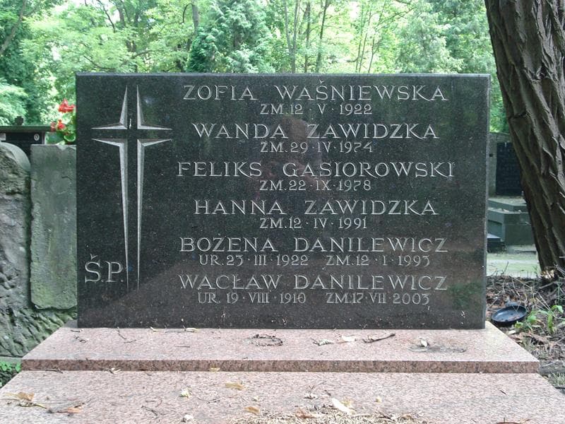 Zdjęcie grobu Wacław Danilewicz (2)