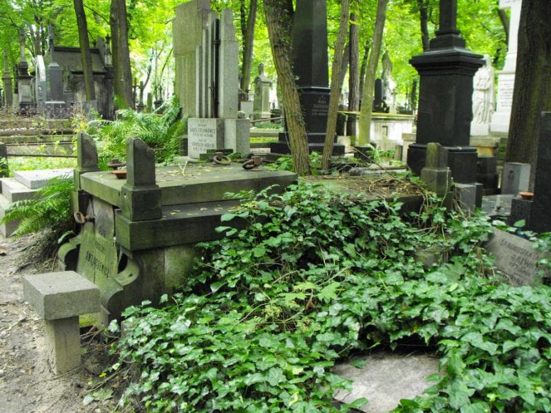 Zdjęcie grobu Antuszewiczowie (1)