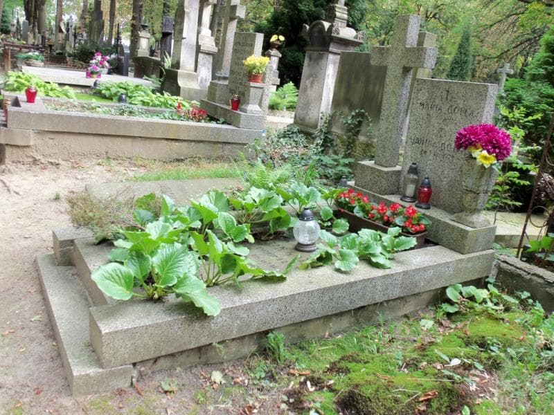Zdjęcie grobu Jan Golla (1)