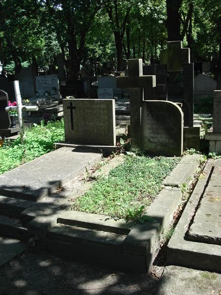 Zdjęcie grobu Bronisława Regina Cancygier (1)