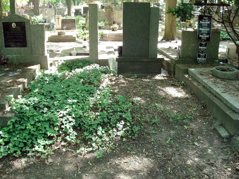 Zdjęcie grobu: Pole Grobowe