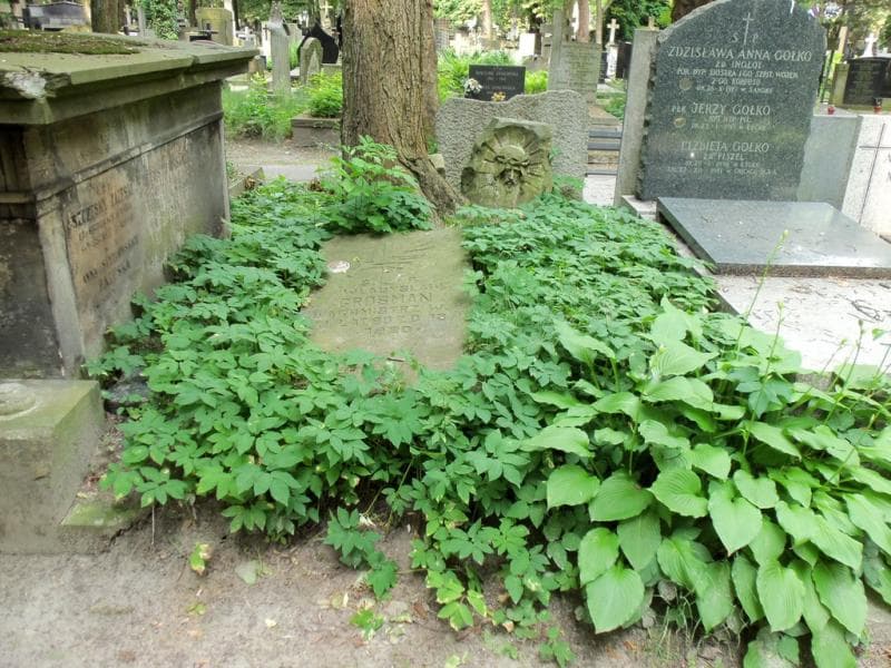Zdjęcie grobu: Anna Langman